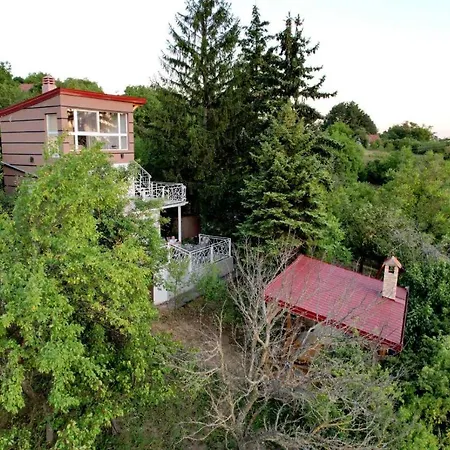 Дом отдыха Lux Star-vila Za Odmor